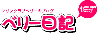 思い出ブログ「ベリー日記」